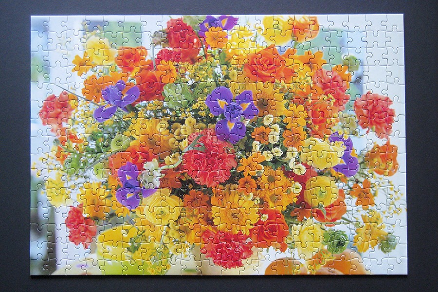 900 IMG_1308