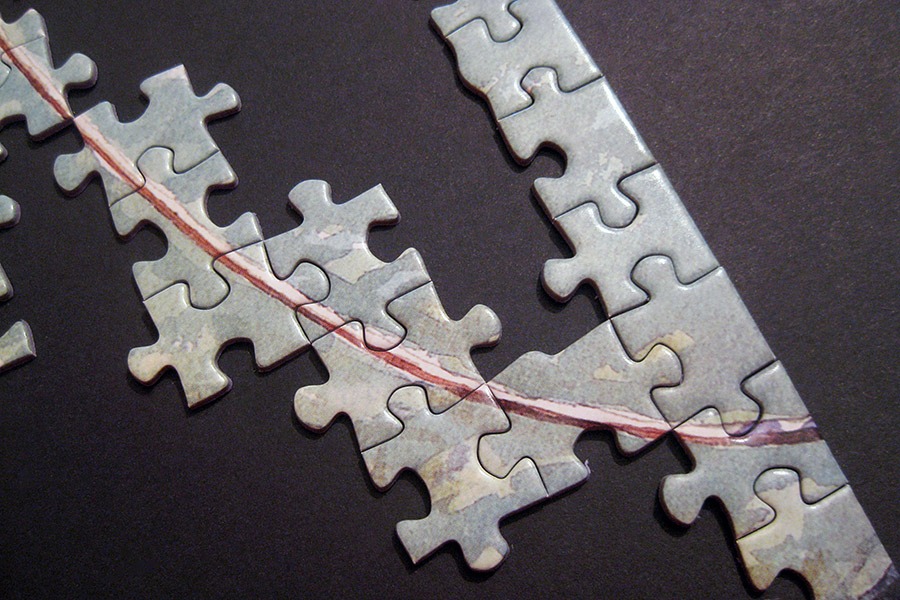 900-art-puzzle-img_3774