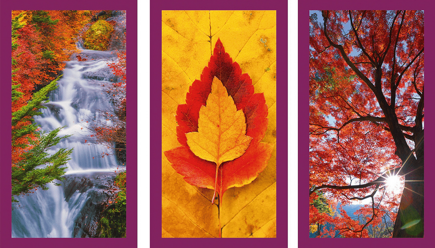 ravensburger fall impressions.png