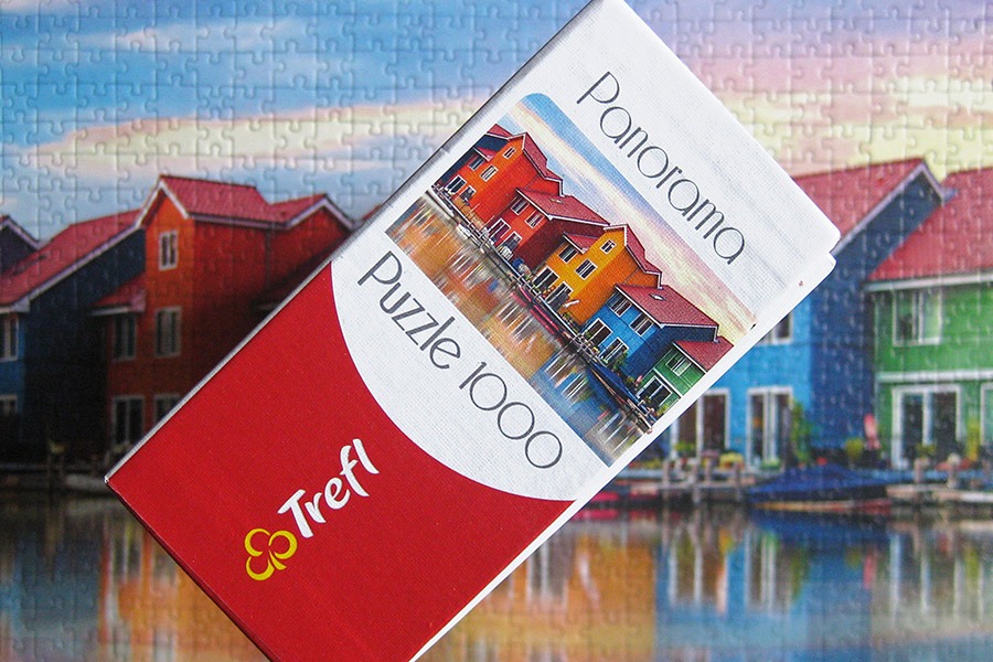 trefl puzzle 900 IMG_4563.jpg