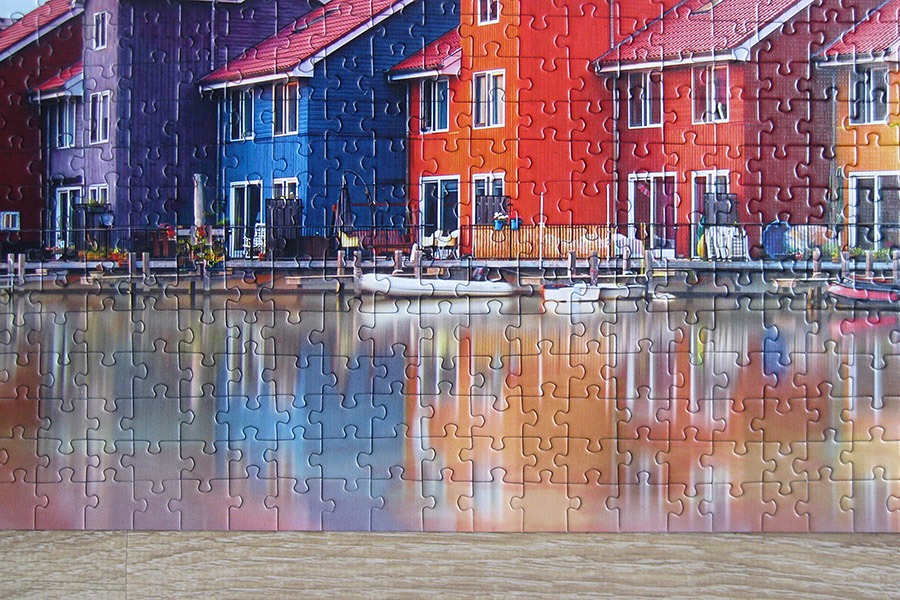 trefl puzzle 900 IMG_4578.jpg