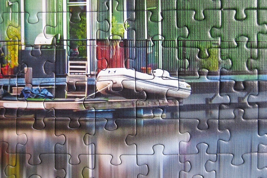 trefl puzzle 900 IMG_4582.jpg