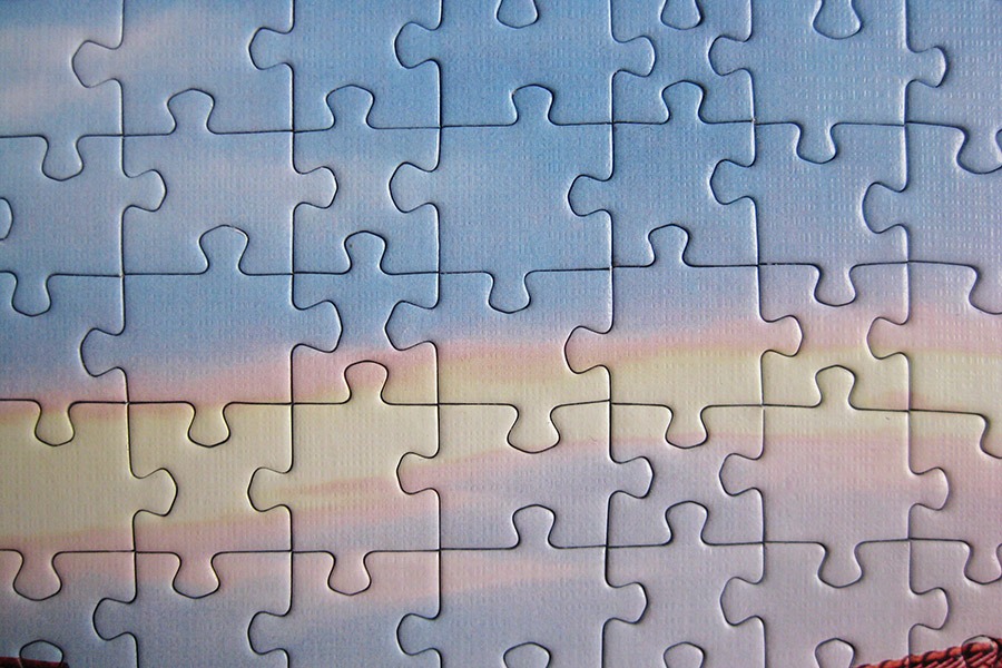 trefl puzzle 900 IMG_4599.jpg