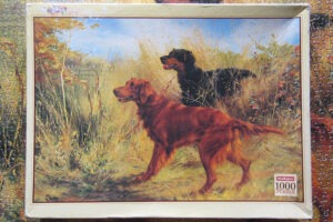 900-img_1995