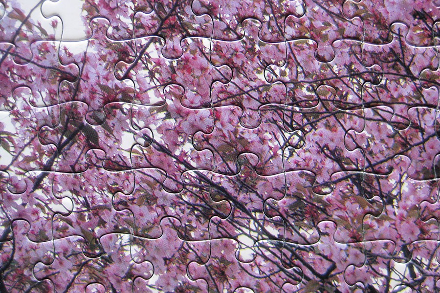 yanoman_viewofjapan_900 IMG_4033.jpg