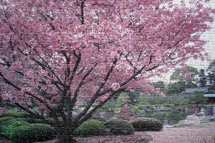 yanoman_viewofjapan_900 IMG_4068.jpg