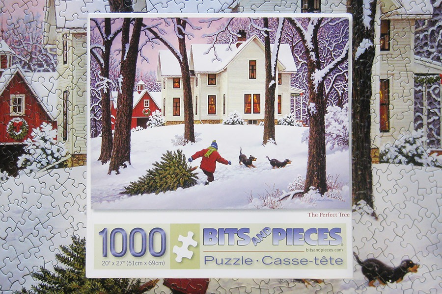 bits pieces puzzle_900 IMG_5947.jpg