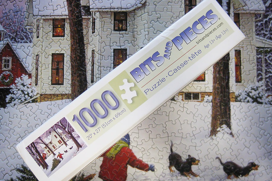 bits pieces puzzle_900 IMG_5952.jpg