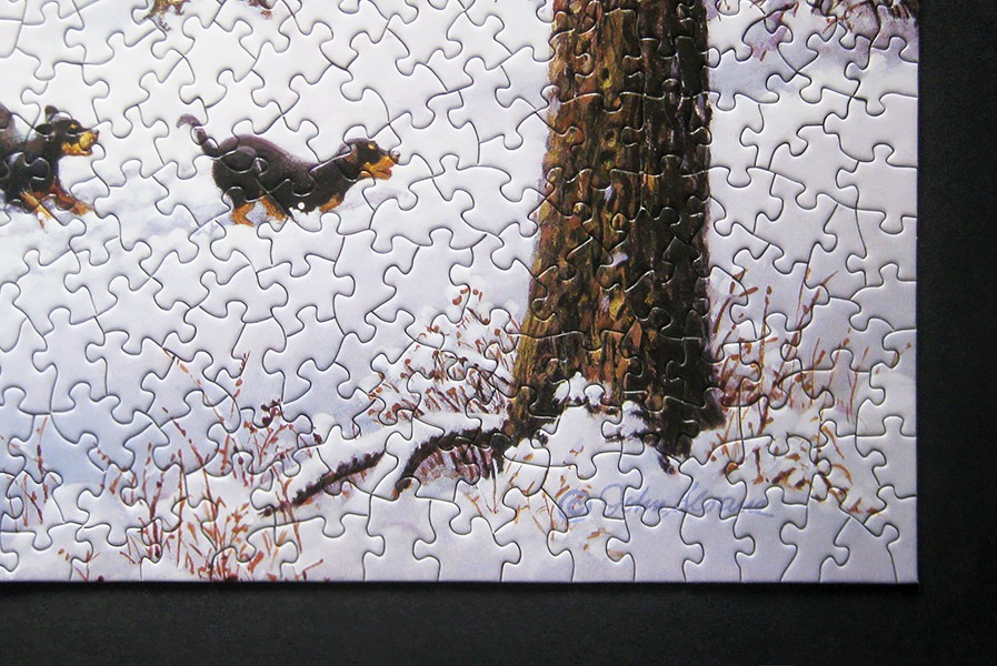 bits pieces puzzle_900 IMG_5955.jpg