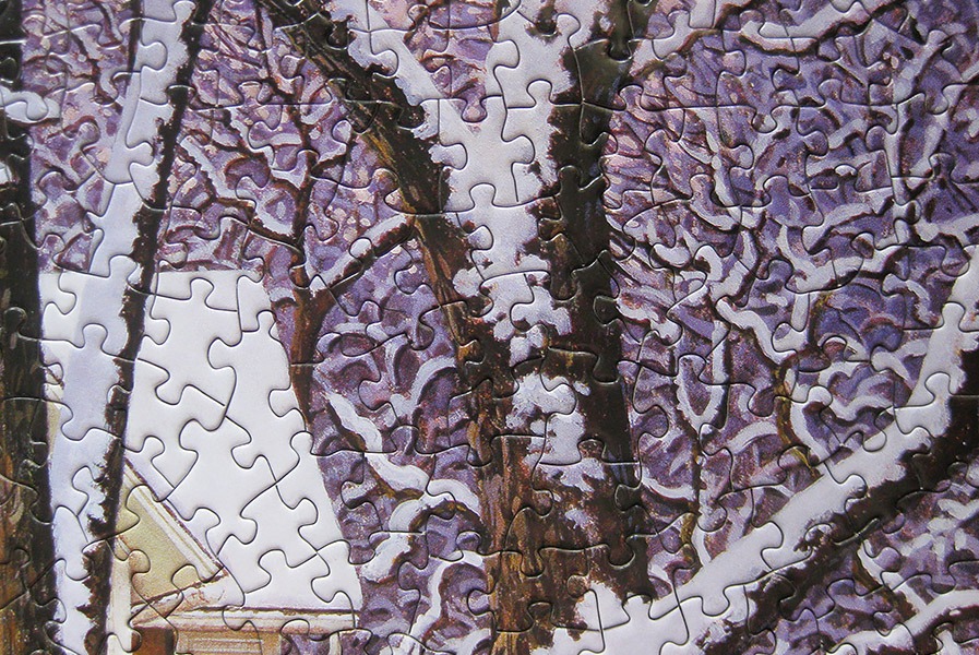 bits pieces puzzle_900 IMG_5958.jpg