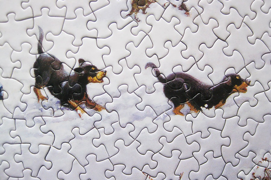 bits pieces puzzle_900 IMG_5959.jpg