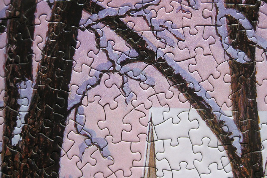 bits-pieces-puzzle_900-img_5963