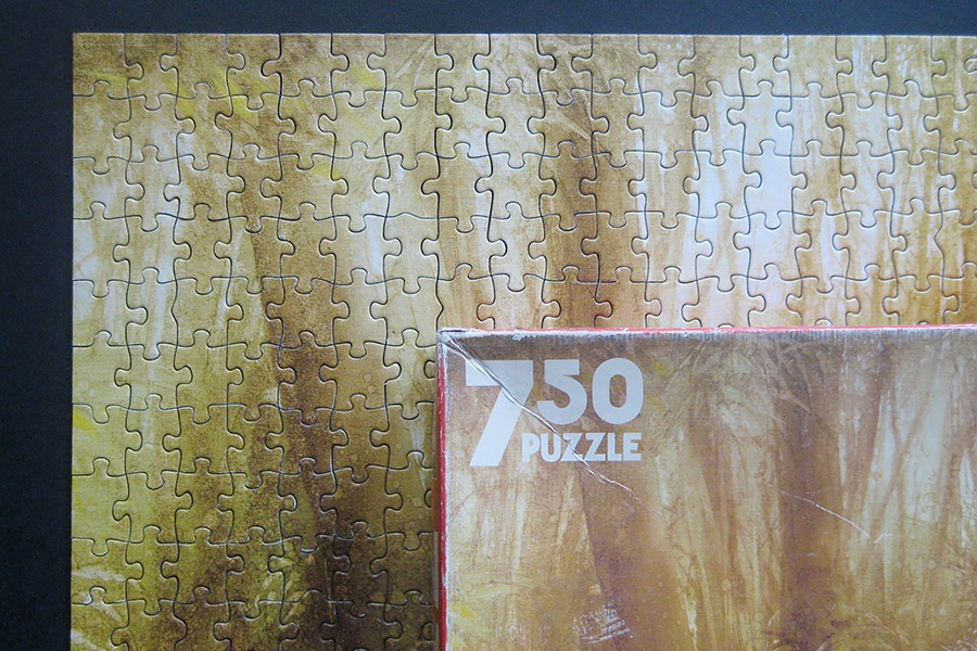slave trader_games workshop puzzle_900 IMG_6446.jpg