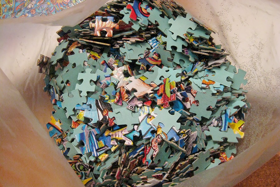 step puzzle_4000_world map_900 IMG_6204.jpg