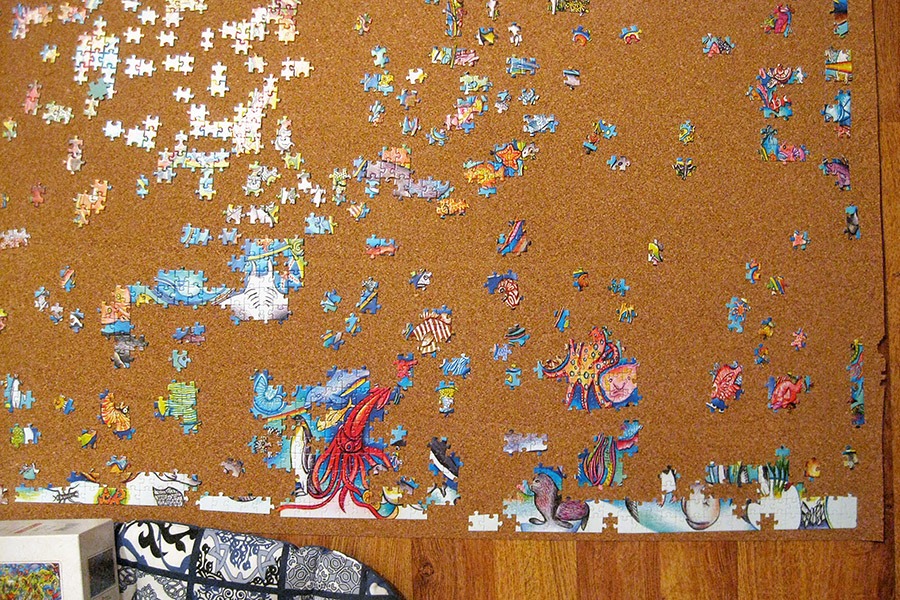 step puzzle_4000_world map_900 IMG_6315.jpg