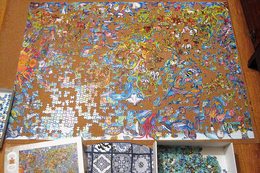 step puzzle_4000_world map_900 IMG_6396.jpg