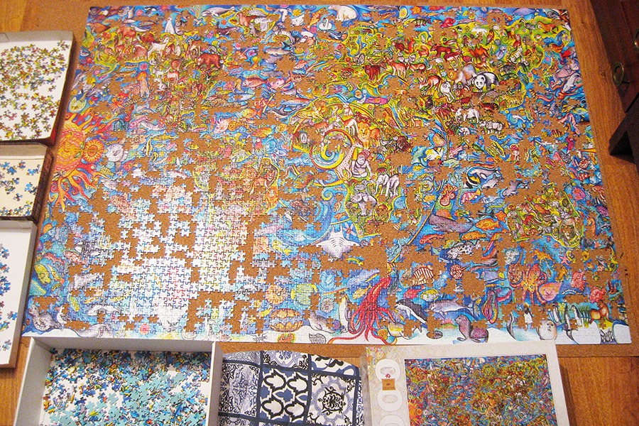 step-puzzle_4000_world-map_900-img_6495