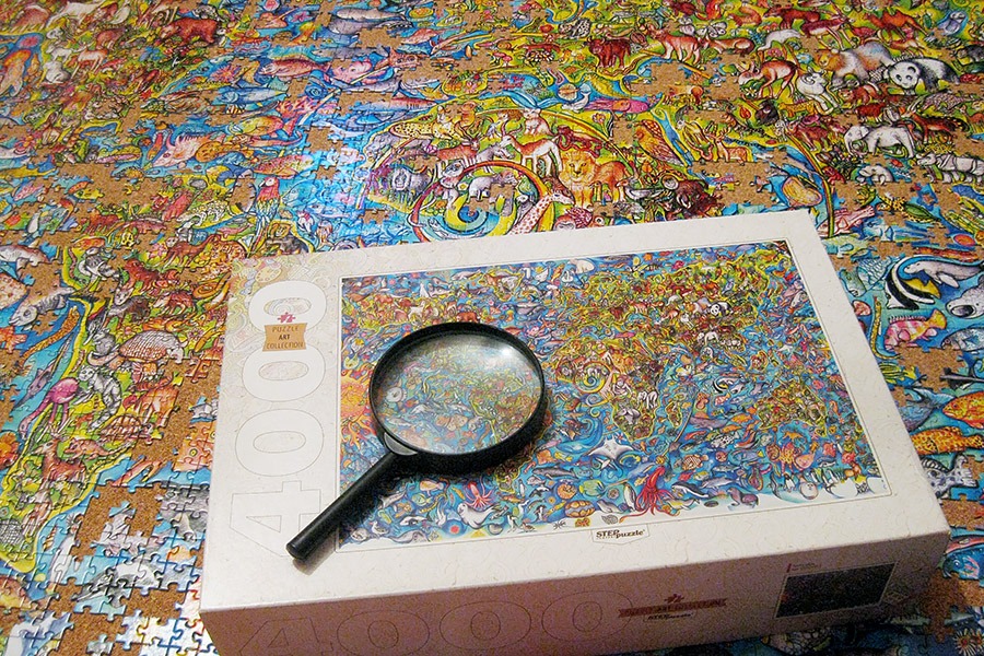 step puzzle_4000_world map_900 IMG_6906.jpg