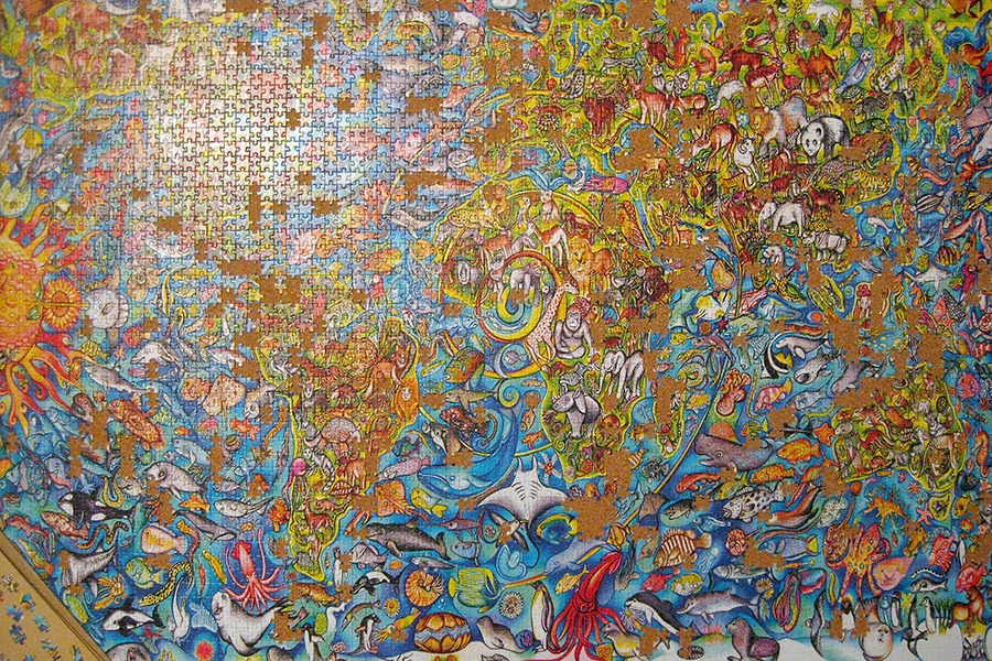 step puzzle_4000_world map_900 IMG_6919.jpg
