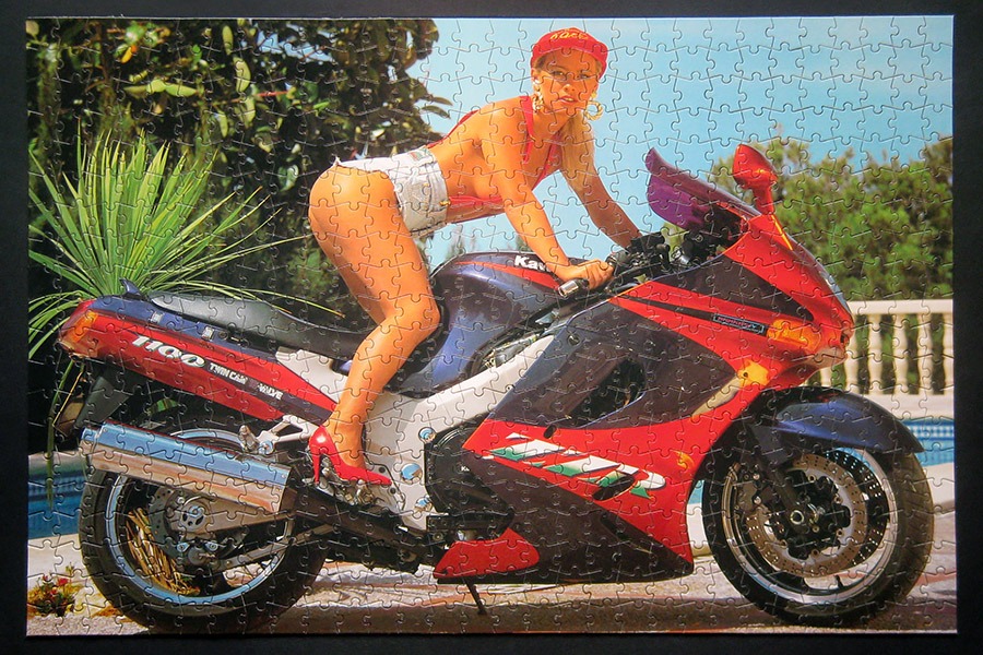 step puzzle_moto girl_900 IMG_5834.jpg