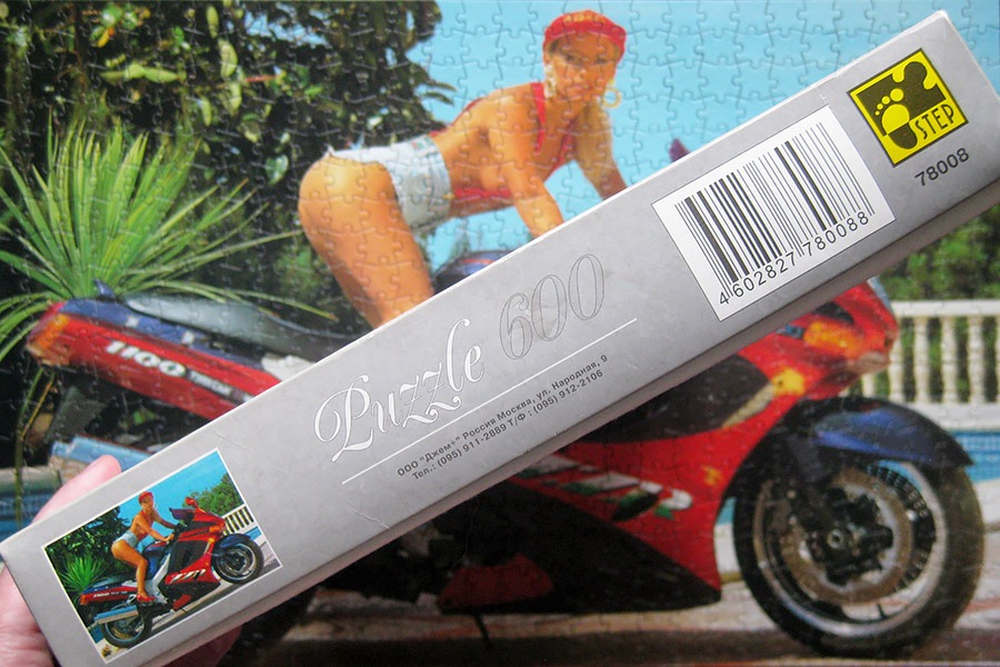 step puzzle_moto girl_900 IMG_5842.jpg