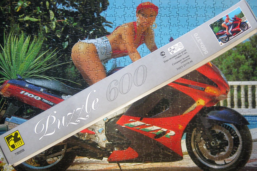 step puzzle_moto girl_900 IMG_5843.jpg
