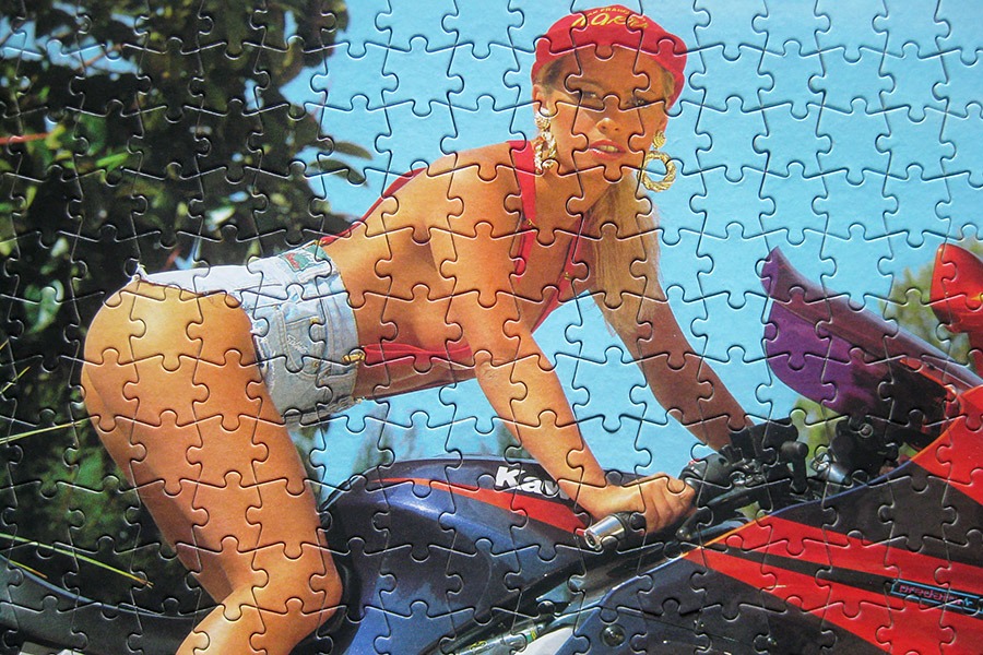 step puzzle_moto girl_900 IMG_5845.jpg