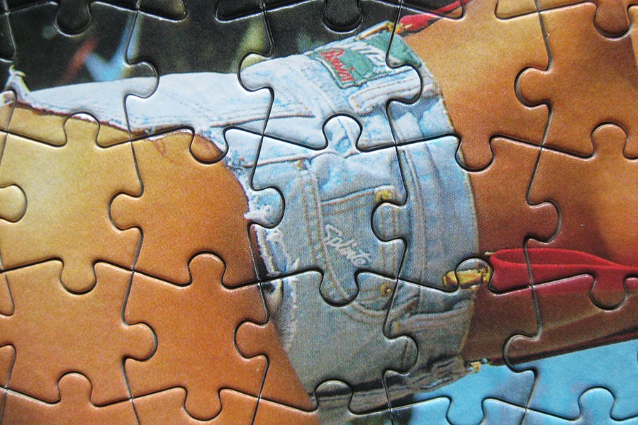 step puzzle_moto girl_900 IMG_5859.jpg