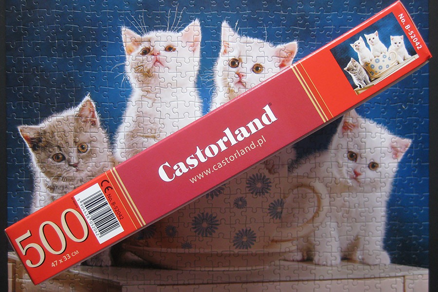 castorland_looking for milk_900 IMG_7377.jpg