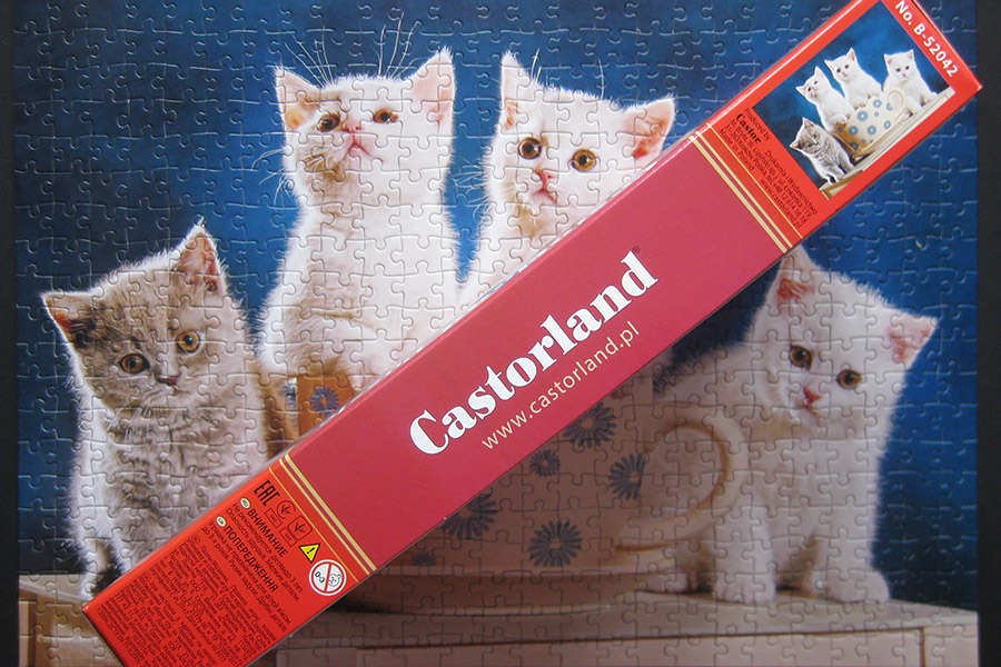 castorland_looking for milk_900 IMG_7379.jpg