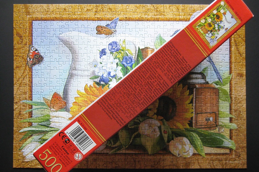 castorland_still-life_900-img_7309