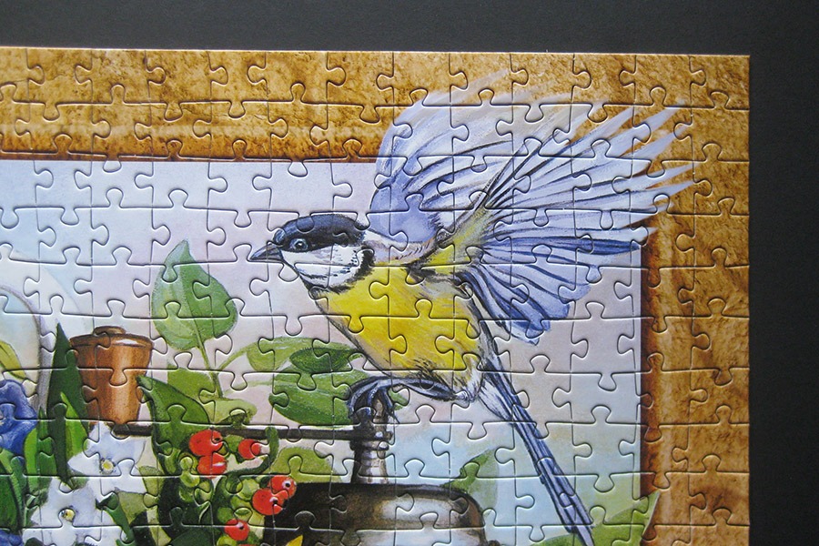 castorland_still-life_900-img_7311