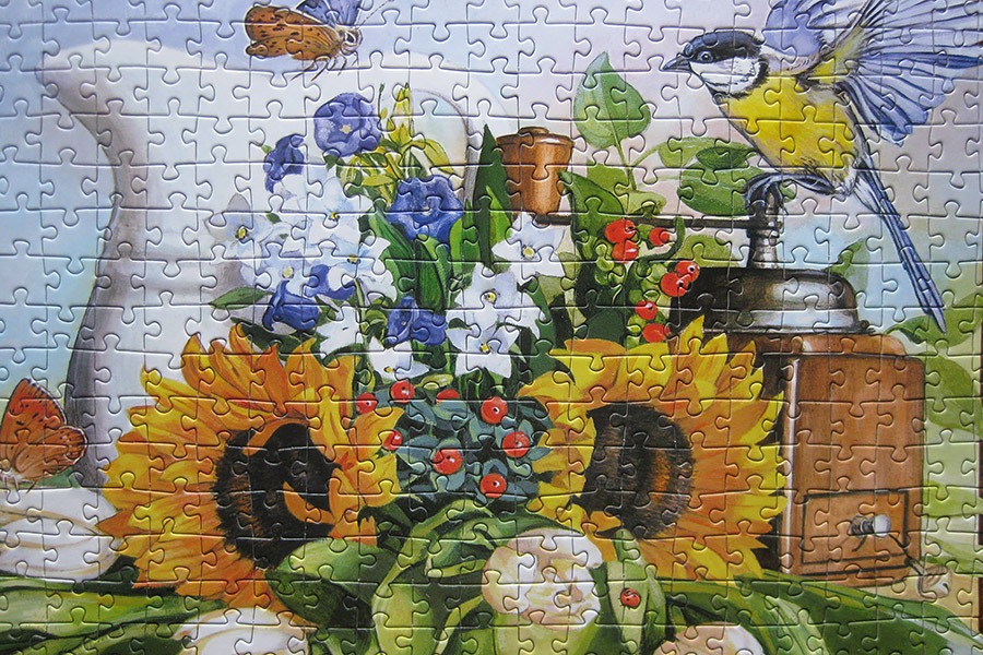 castorland_still-life_900-img_7312