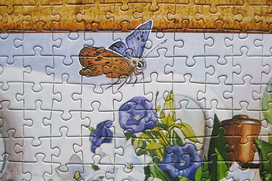 castorland_still-life_900-img_7318
