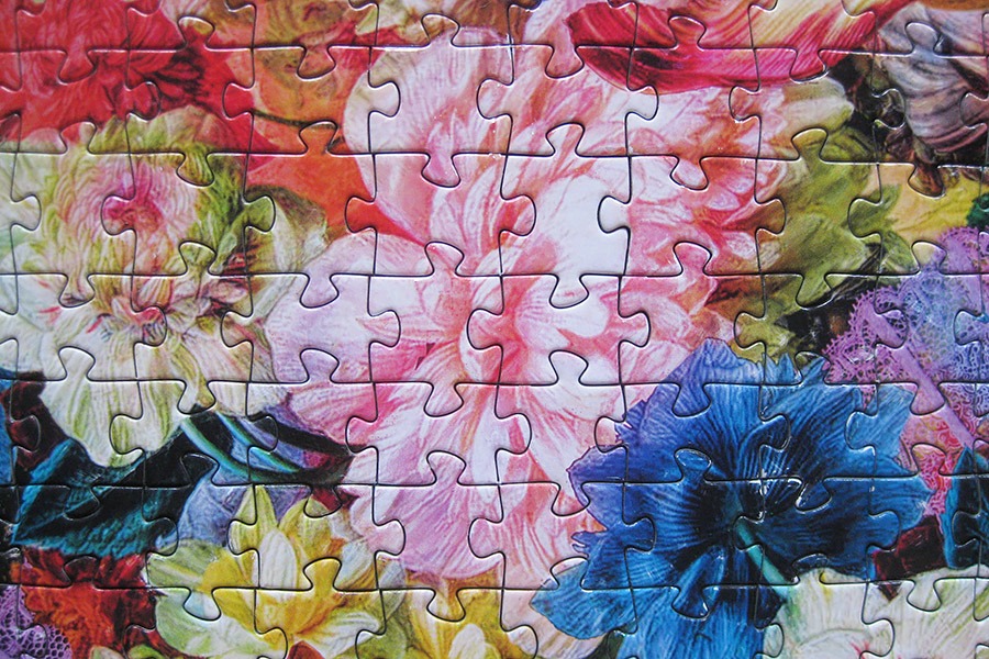 step-puzzle_muse-of-masquerade_900-img_7283