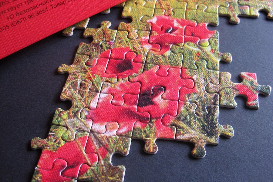 balaklava puzzle_900 IMG_4149