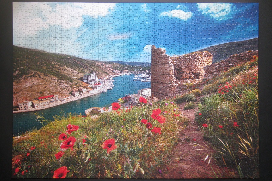 balaklava puzzle_900 IMG_4374