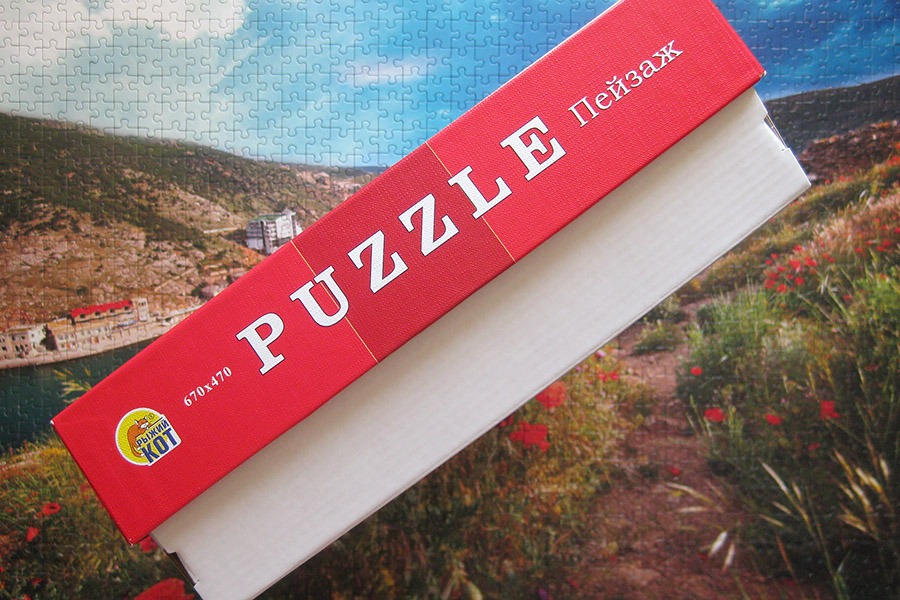 balaklava puzzle_900 IMG_4382