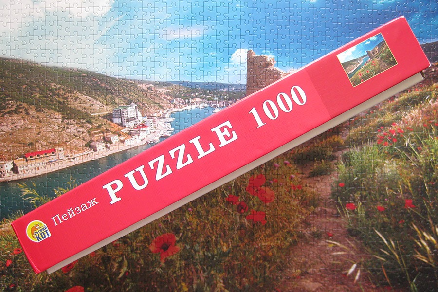 balaklava puzzle_900 IMG_4383