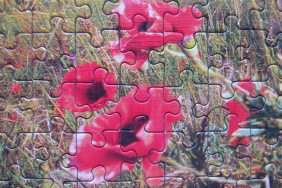 balaklava puzzle_900 IMG_4398