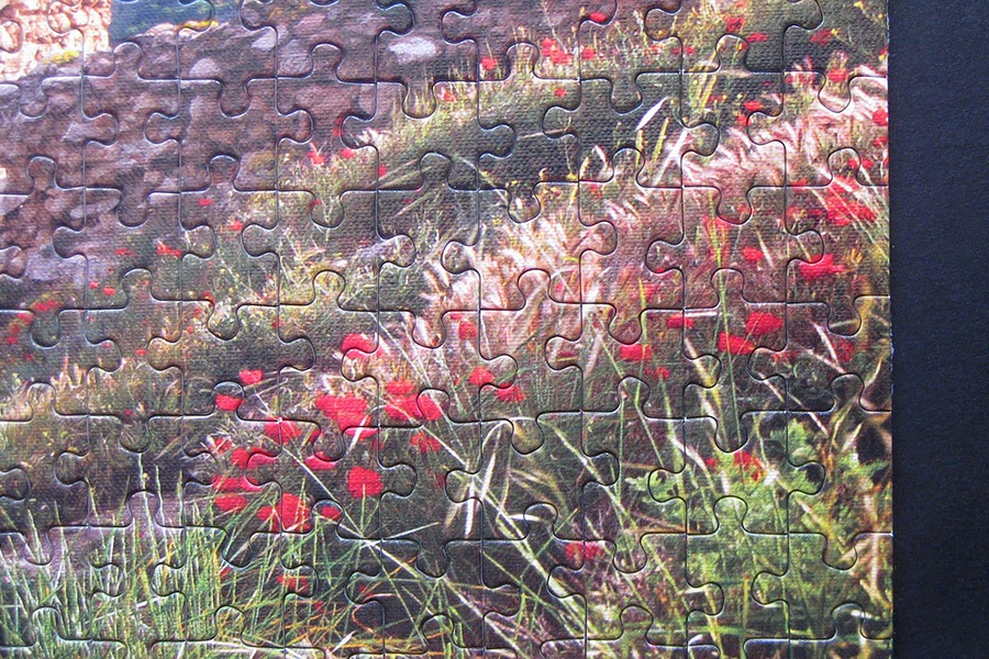 balaklava puzzle_900 IMG_4399