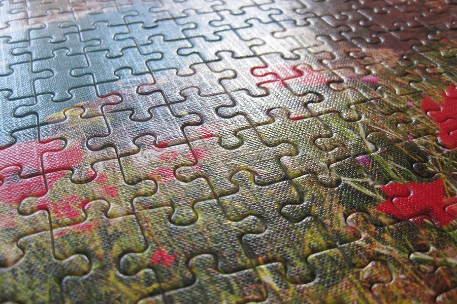 balaklava puzzle_900 IMG_4403