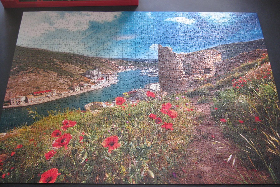 balaklava puzzle_900 IMG_4413