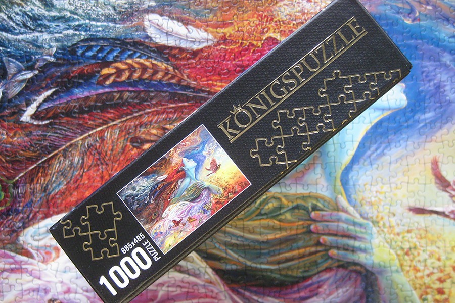 Konigspuzzle_spirit of flight_900 IMG_7342.jpg