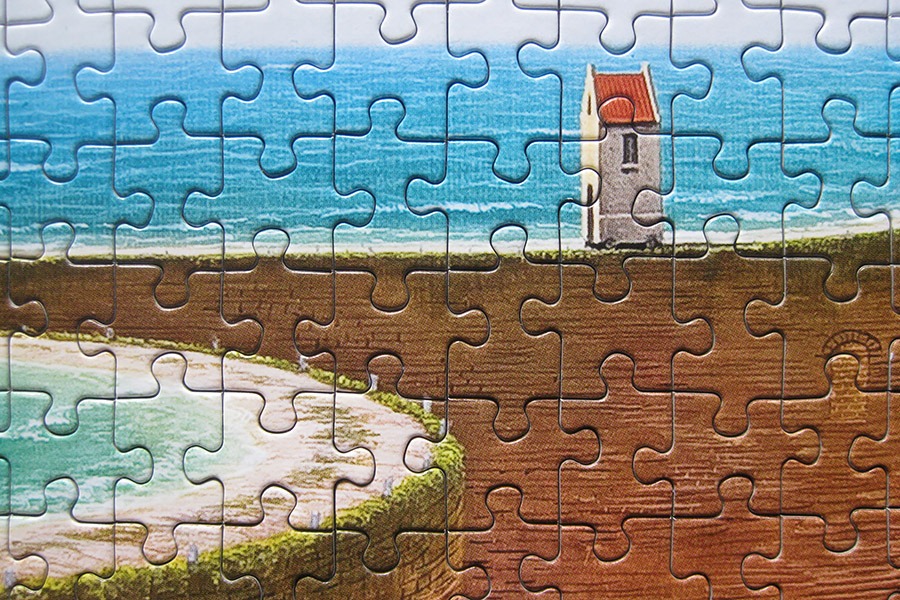redcat puzzle_jacek yerka_900 IMG_4487.jpg