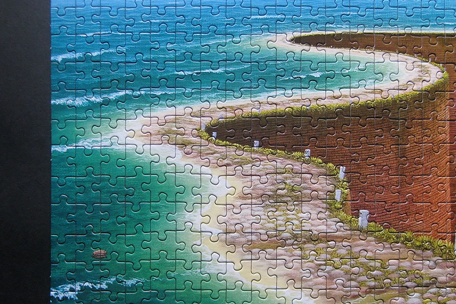 redcat puzzle_jacek yerka_900 IMG_4489.jpg