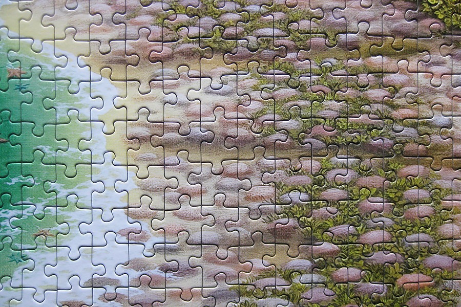 redcat puzzle_jacek yerka_900 IMG_4490.jpg
