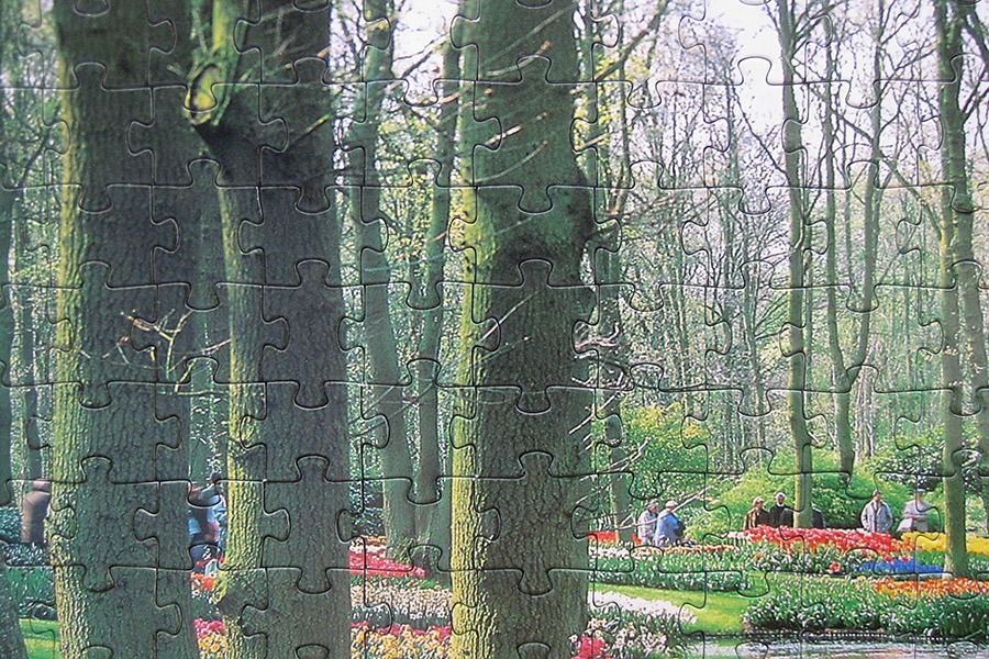 astrel spring_900_IMG_4118