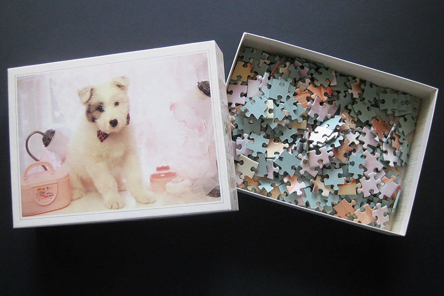 hanayama puzzle_320_dog_900 IMG_7786.jpg