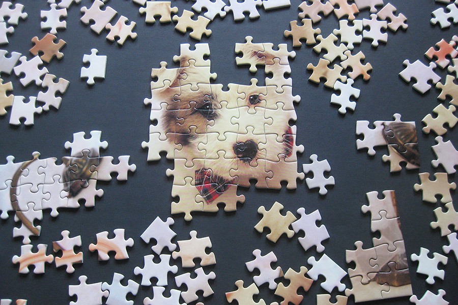 hanayama puzzle_320_dog_900 IMG_7789.jpg